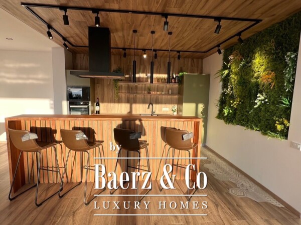 photo 12 Villa in Kotor in calm pine forest with Seaview