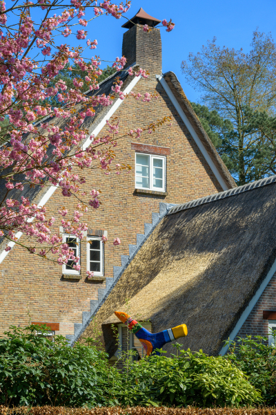 photo 10 Montenspark 1