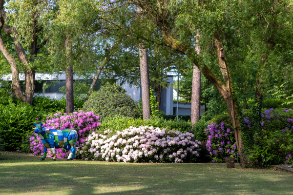 photo 42 Montenspark 1