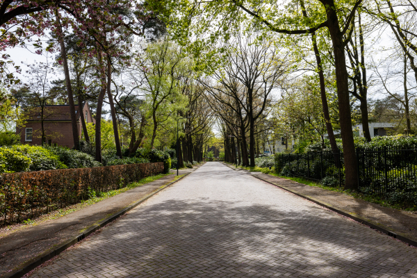 photo 45 Montenspark 1