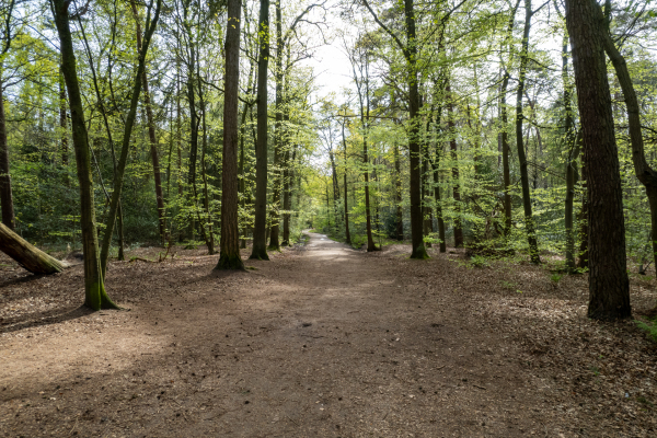 photo 46 Montenspark 1