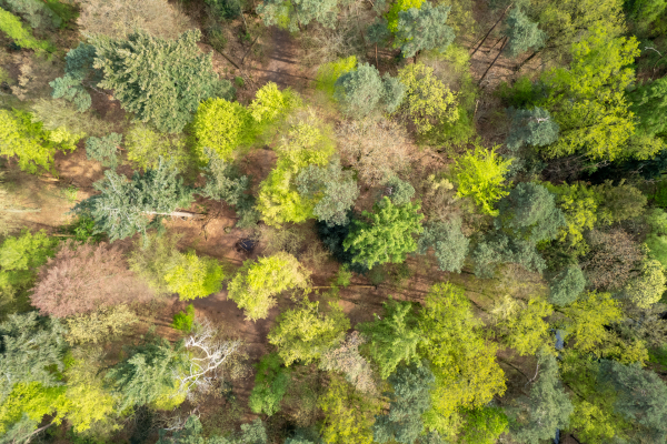 photo 48 Montenspark 1