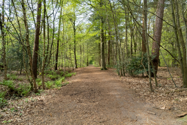 photo 49 Montenspark 1