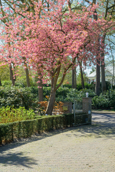 photo 53 Montenspark 1