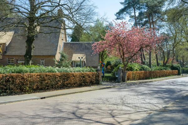 photo 63 Montenspark 1