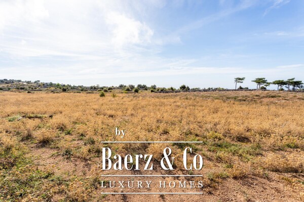 photo 9 Hvar, a large, beautiful property with three houses on a plot of 32500 m2