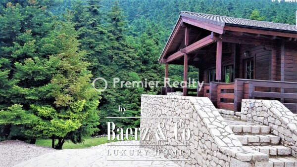 photo 24 950495 - Chalet | Eptalofos, Parnassos, 480 sq.m.