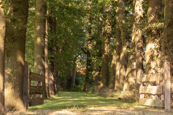 photo 43 Hupselse Esweg 3