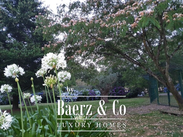 photo 3 Magnificent farm