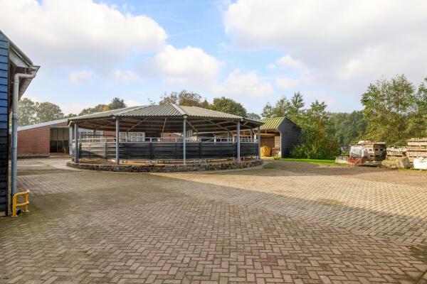 photo 55 Waatselaarstraat 3