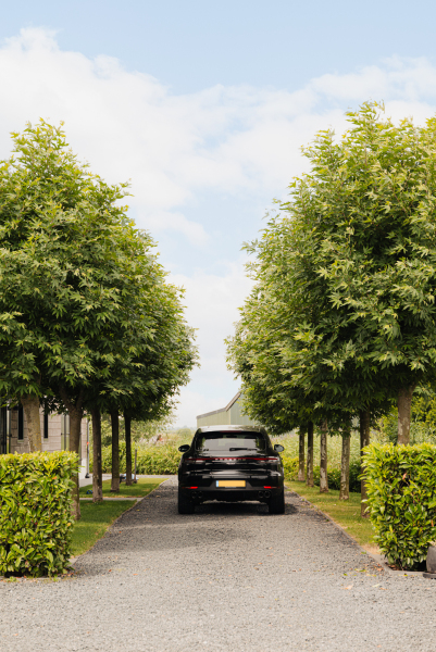 photo 5 Purmerland 95