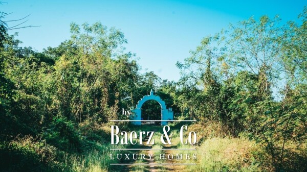 photo 2 Restored Hacienda in Cuzama with a private cenote!