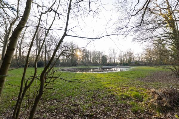 photo 6 Bastinglaan 20 0 ong