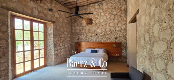 photo 44 18th Century Hacienda with Cenote and 403 acres!