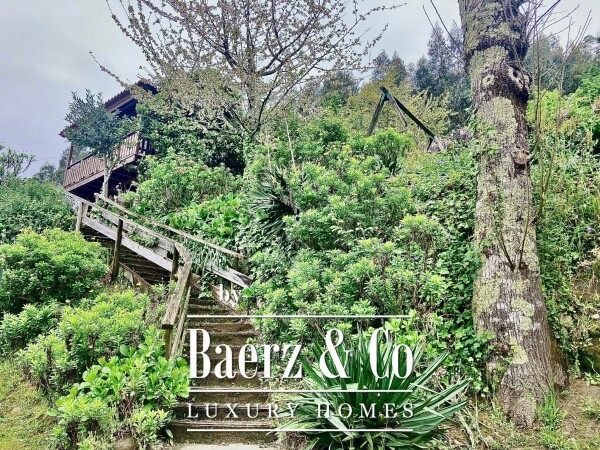 photo 29 Wonderful farm near the Vouga River