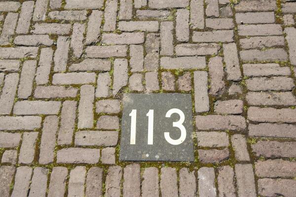 photo 47 Therese Schwartzestraat 113