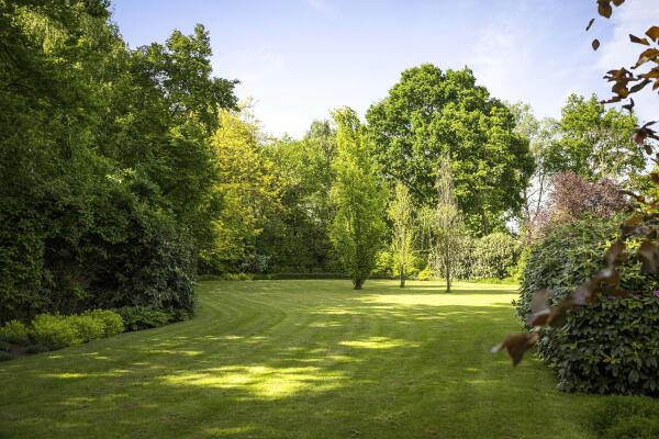 photo 65 Dennendijk 6