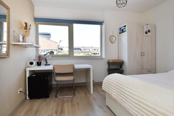 photo 47 Juttepeer 35