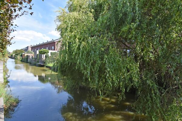 photo 38 Juttepeer 35