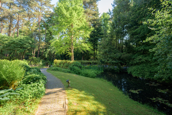 photo 58 Oude Bredasebaan 17