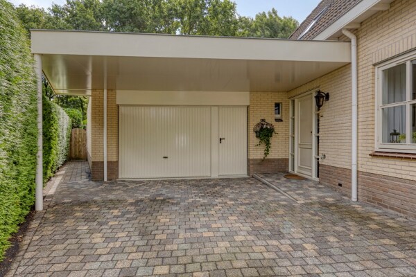 photo 8 Bilzekruid 11