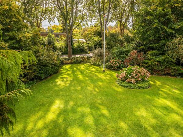 photo 53 Schumanlaan 15