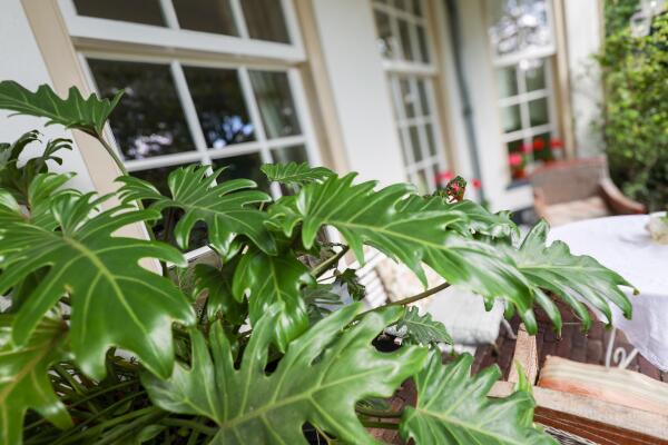 photo 52 Karnemelksweg 2