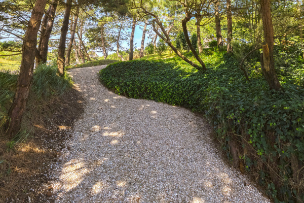 photo 77 Dennenweg 8