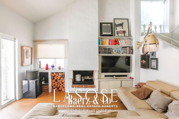 photo 8 Sant Pere de Ribes, Los Viñedos