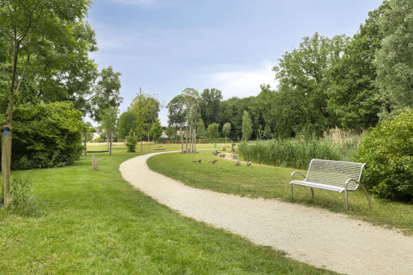 photo 53 Oltmansstraat 17