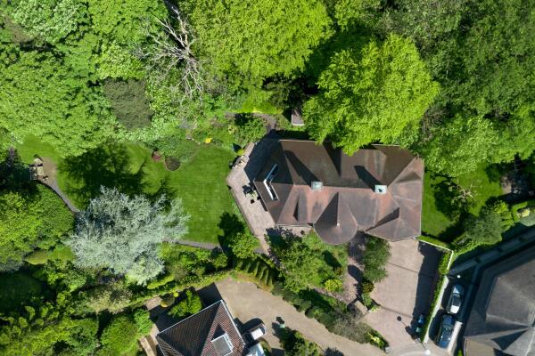 photo 7 Leonard Springerhof 4