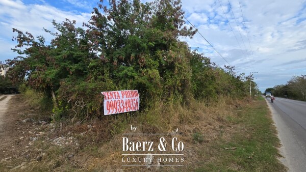 photo 13 Temozon  Norte 