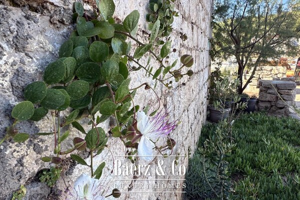 photo 31 Prvić Luka, partially renovated stone house, first row to the sea, 298 m²